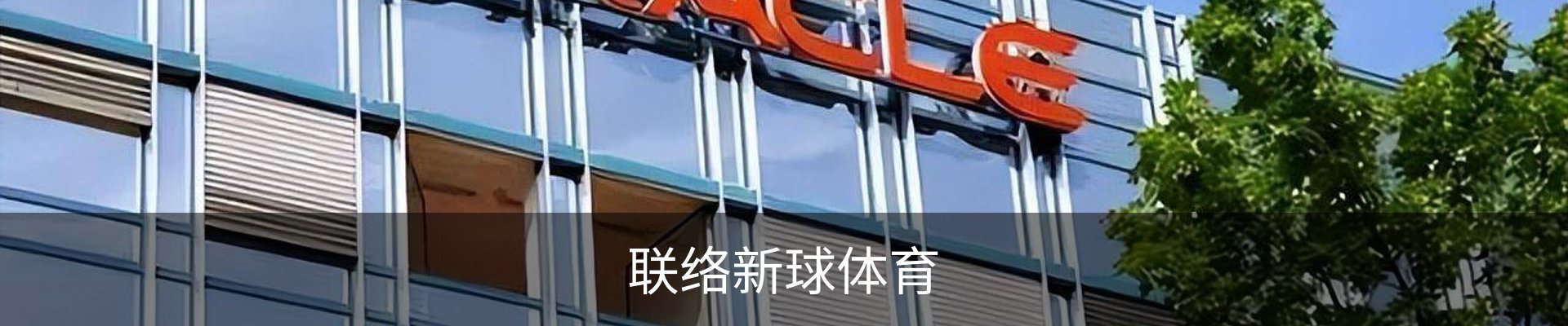 联络新球体育